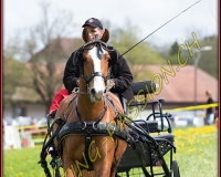 2POSIEUX 0096